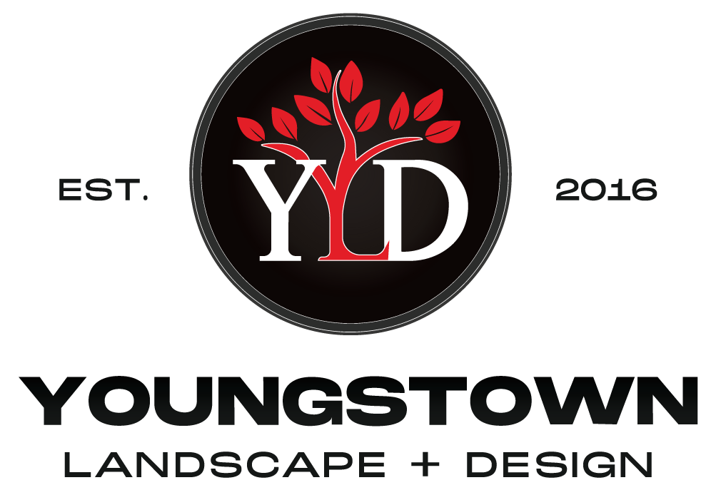 Youngstown Logo